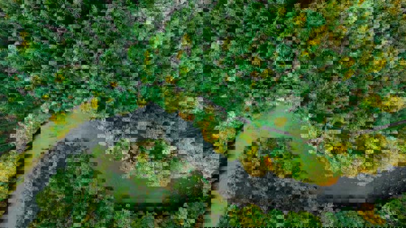 Carnets Certifiés FSC : L’Alliance du Durable et de l’Élégance