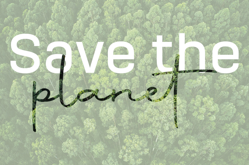 Dival Ouvre Une Nouvelle Ère de Production de Carnets Durables avec la Certification FSC