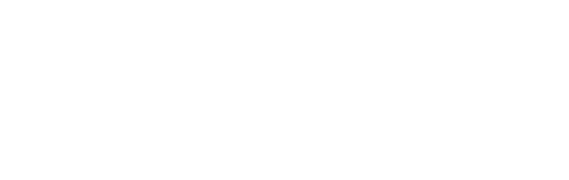 Dival France Logo